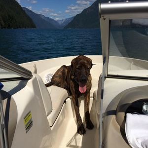 Meet your Posher, Kim